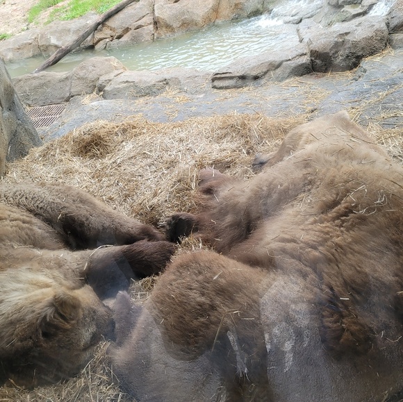 Meet your Posher, Olander - Picture 1 of 1